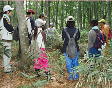 Natural Environment Specialized Course