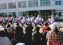 大学祭りの呼び物　全県各地からのヤートセの競演