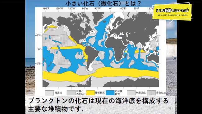 地層や小さな化石から過去の地球環境を探る