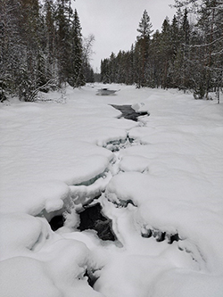 Oulanka National Park