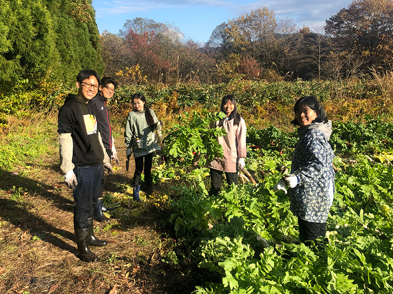 農家民泊の様子