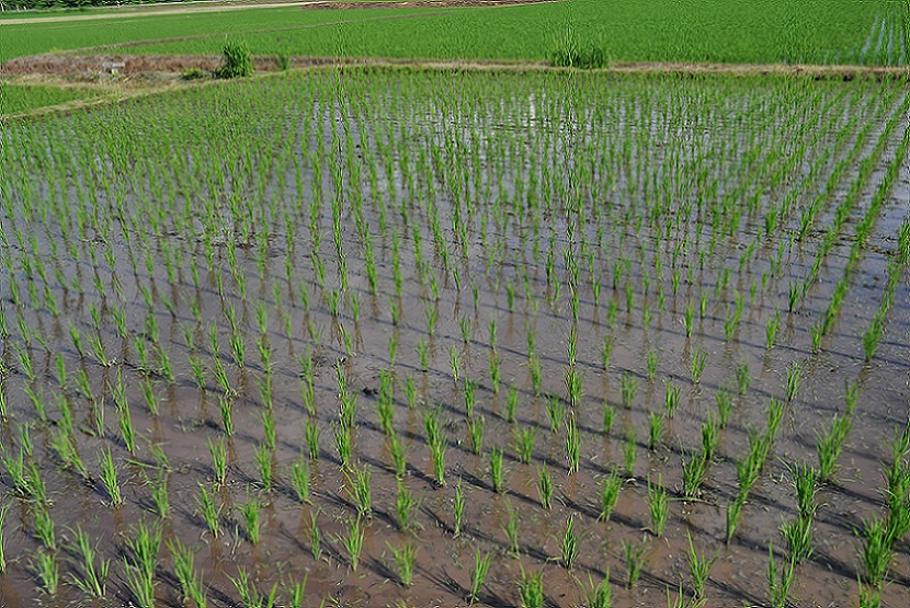 after こんなに綺麗になりました。<br><br><br>