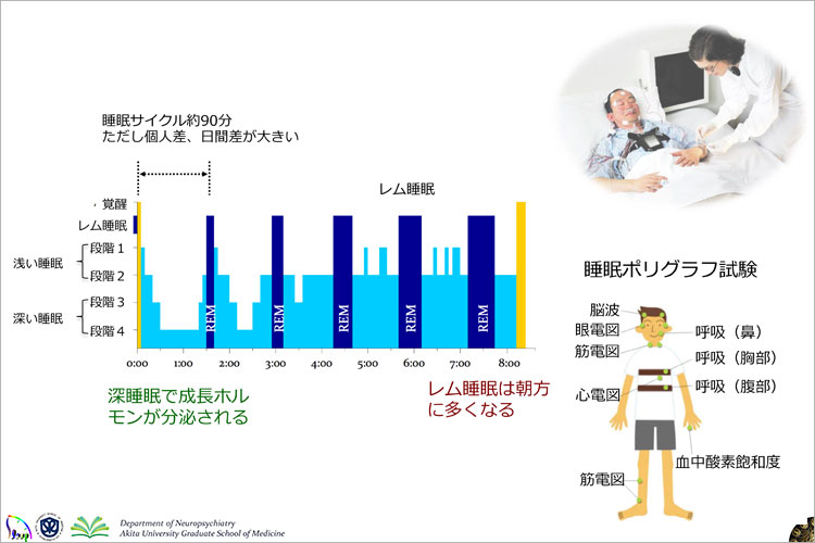 4759817271睡眠科学: 最新の基礎研究から医療・社会への応用まで (DOJIN BIOSCIENCE SERIES) [単行本] 和夫， 三島